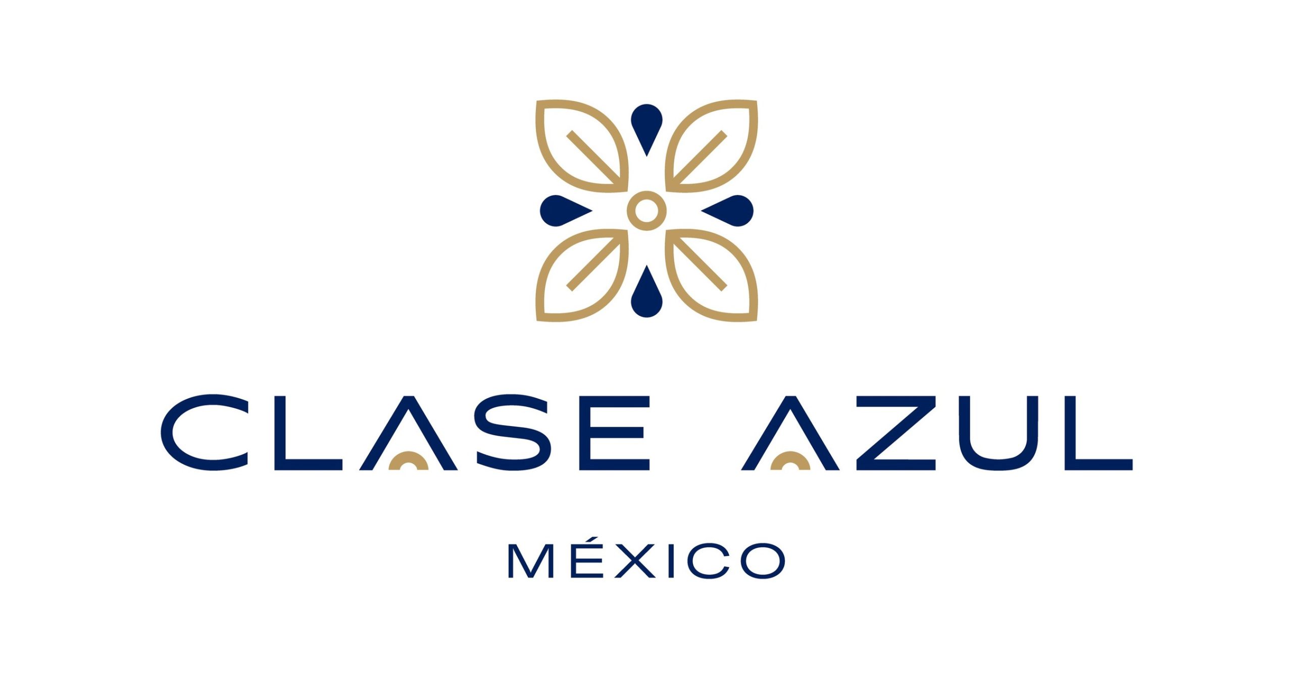 claseazul_Logo scaled